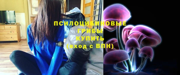 ешки Богородск