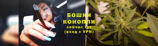 ешки Богородск