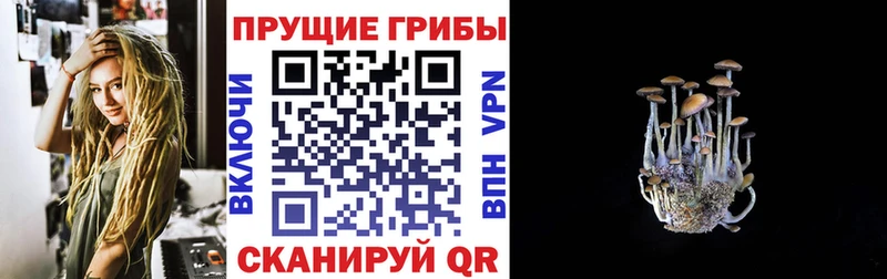 hydra зеркало  Дальнереченск  Псилоцибиновые грибы мицелий  купить закладку 